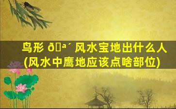 鸟形 🪴 风水宝地出什么人(风水中鹰地应该点啥部位)